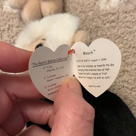 Beanie baby’s Mooch! 2 for sale vintage 1998. - Picture 5 of 7